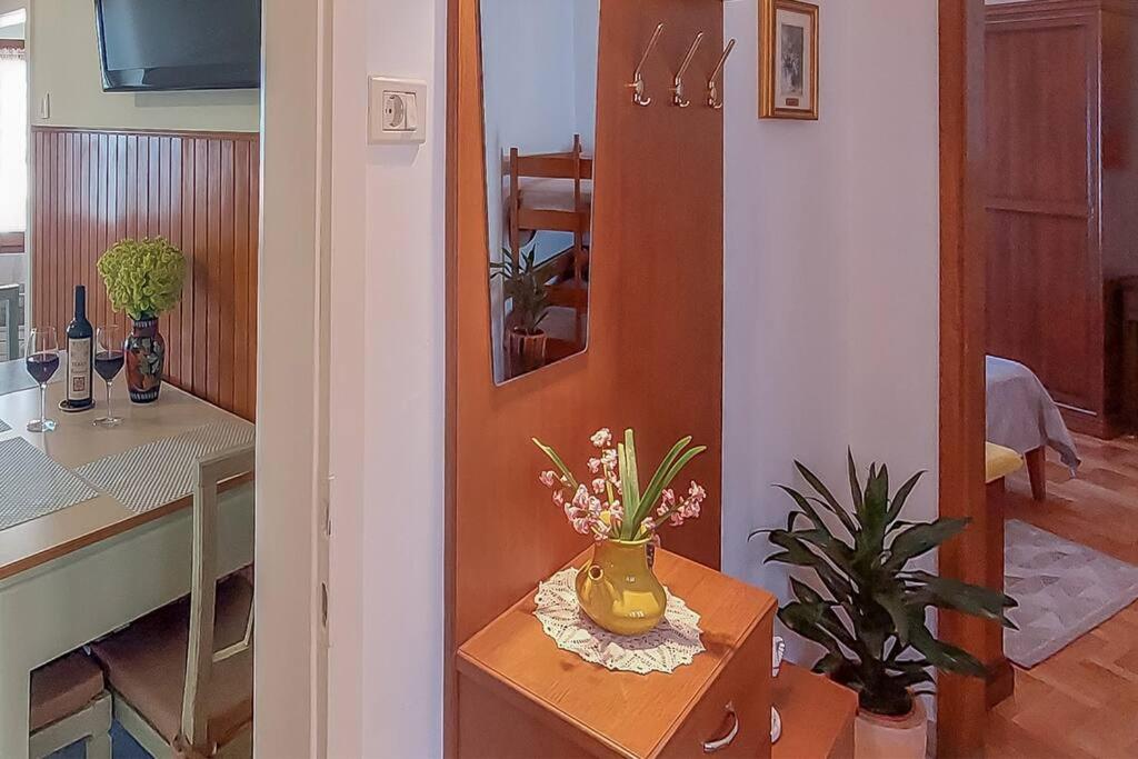 Sea View Karst House Apartment with Bikes photo 4