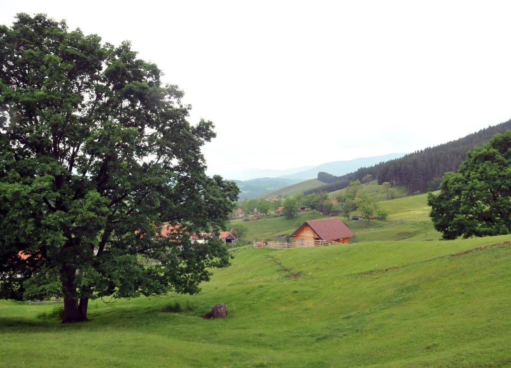 Milošev vajat - Miloš's cottage photo 1