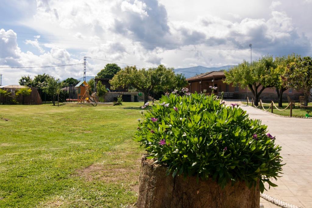 La Lagunilla Golf photo 3