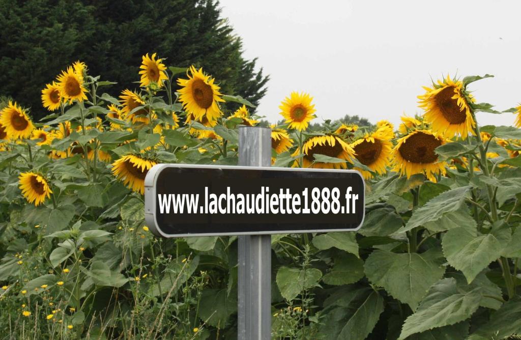 La Chaudiette 1888 photo 4