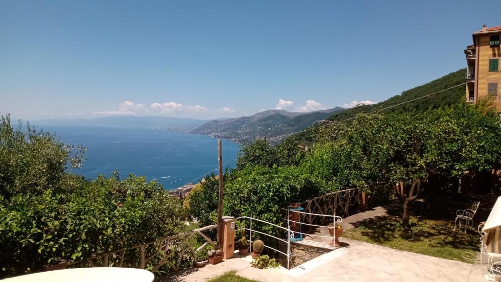 La casa di sotto by PortofinoVacanze photo 1