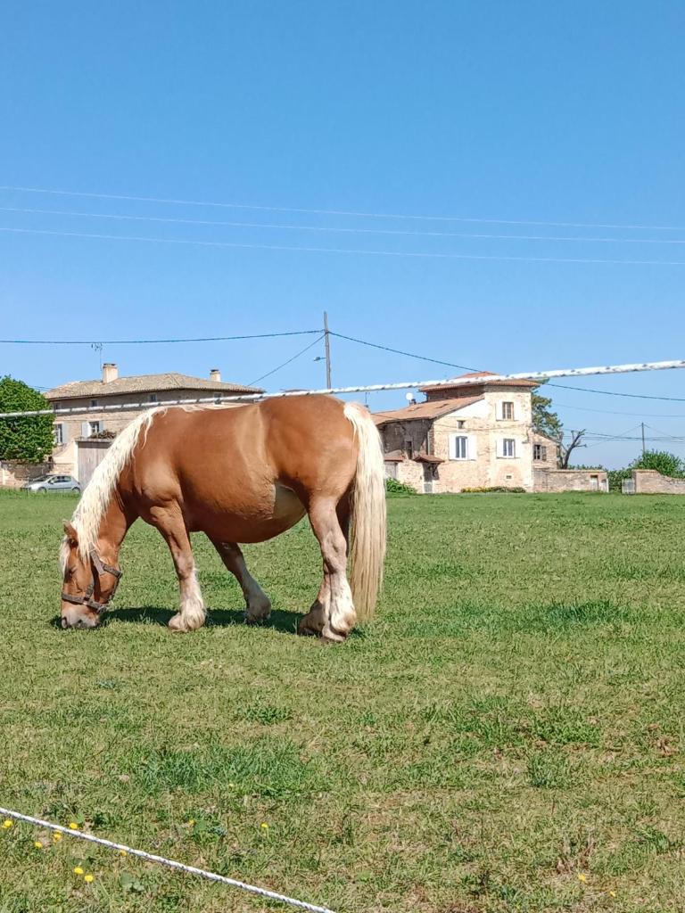 Chez mimi photo 3