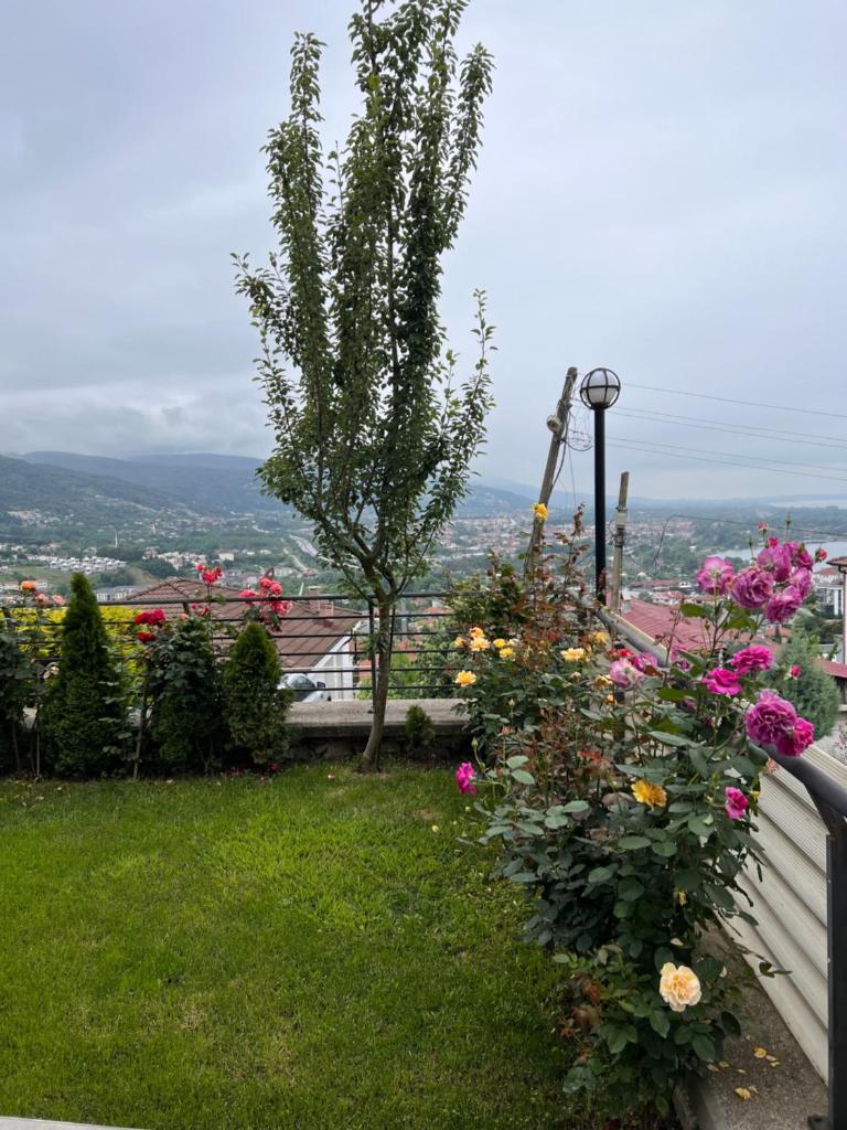 Sawsana Villalari photo 3