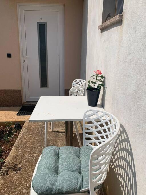 Apartment near Poreč photo 1