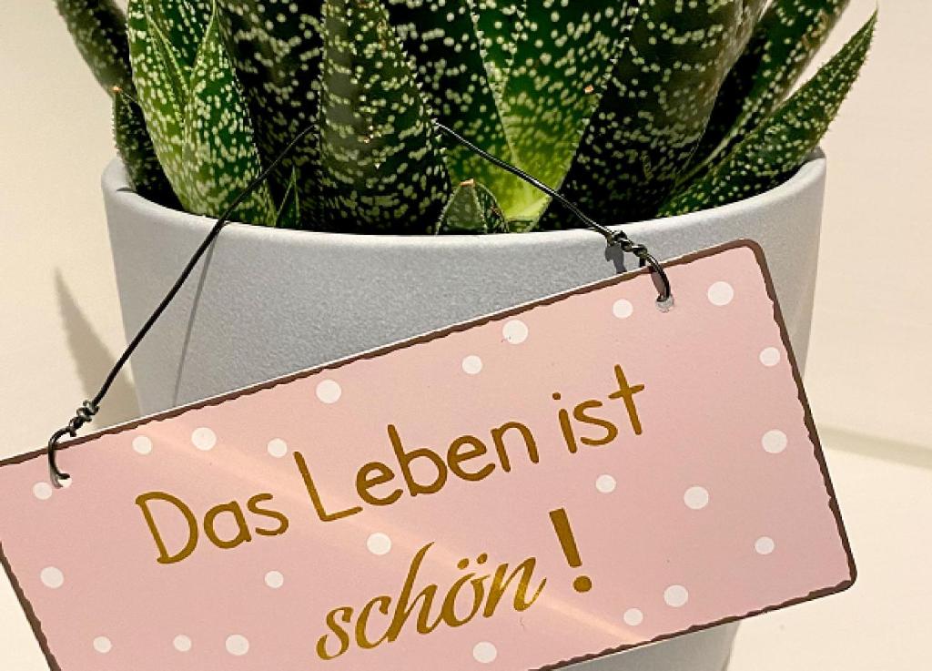 Ferienwohnung Fuldaufer photo 3