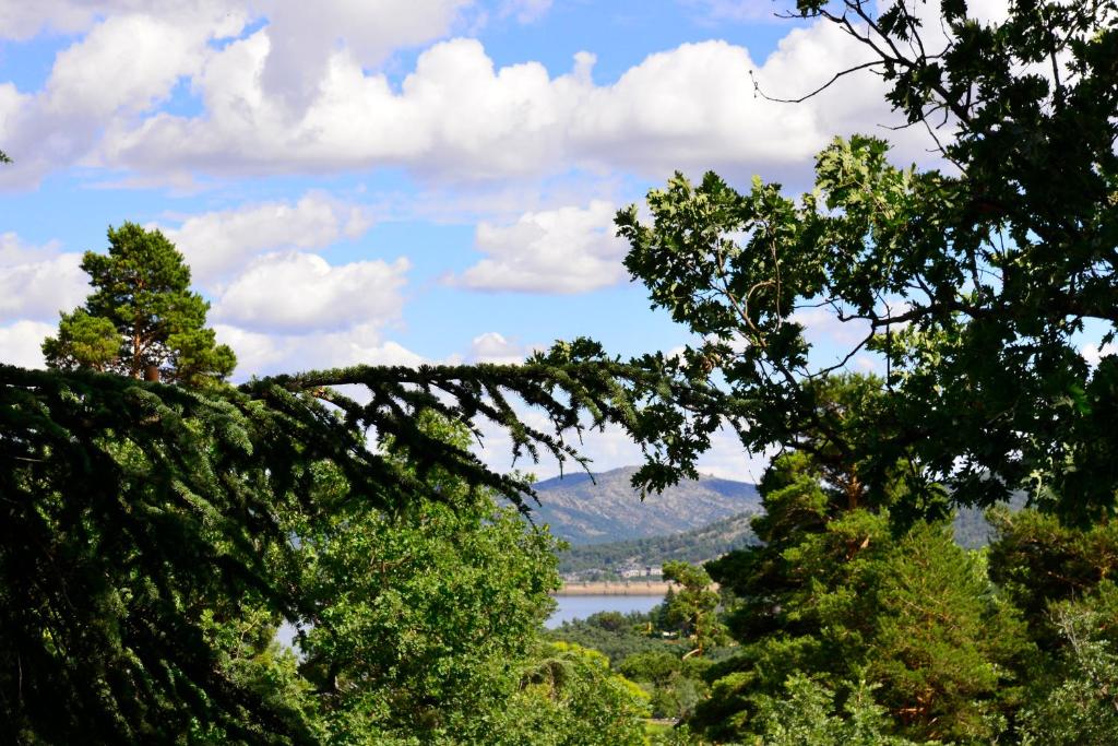 NIMA Navacerrada photo 4