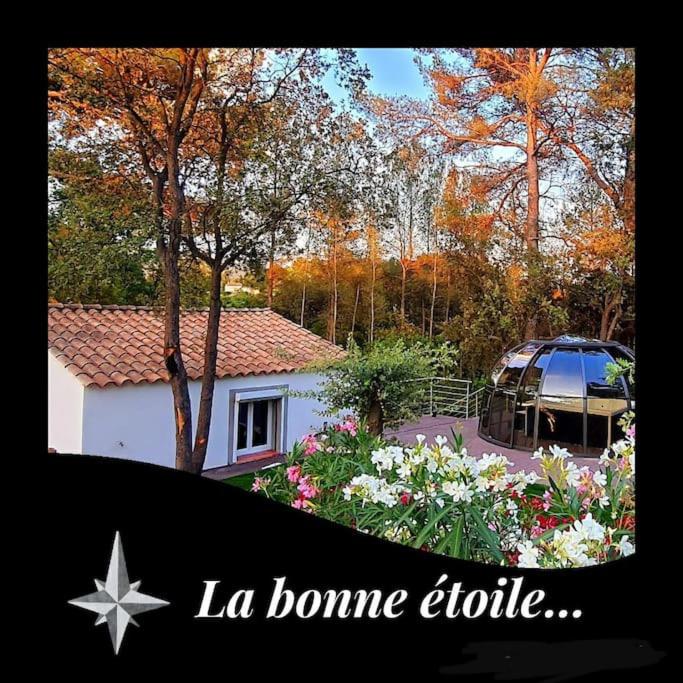 Marseille - Love House Jacuzzi - La Bonne Etoile ! photo 1