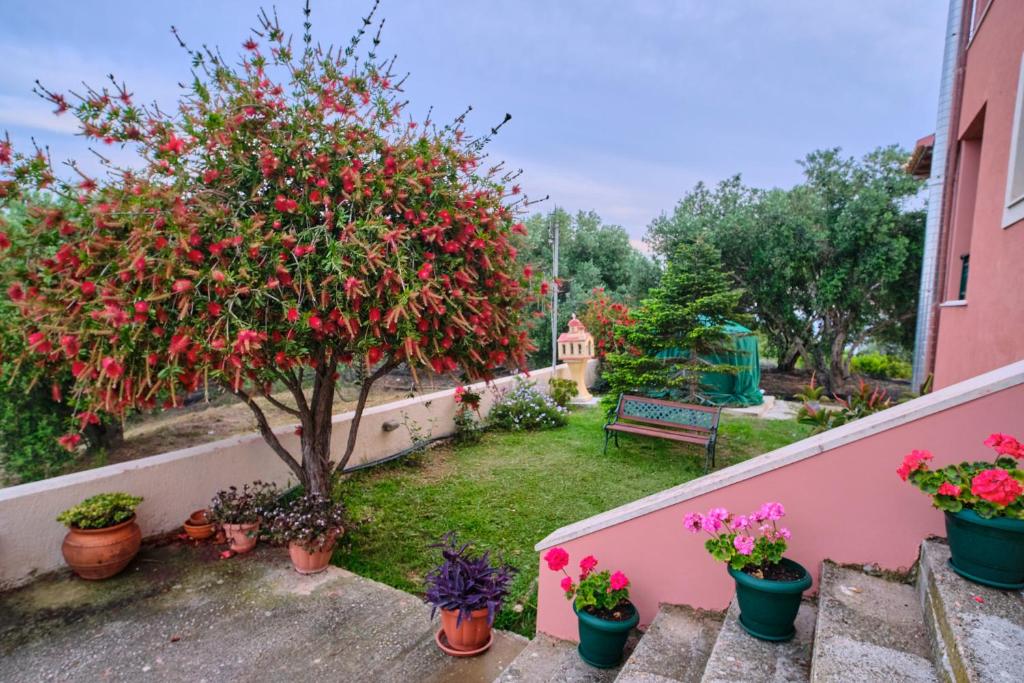 Villa Melissi Afionas Corfu photo 1