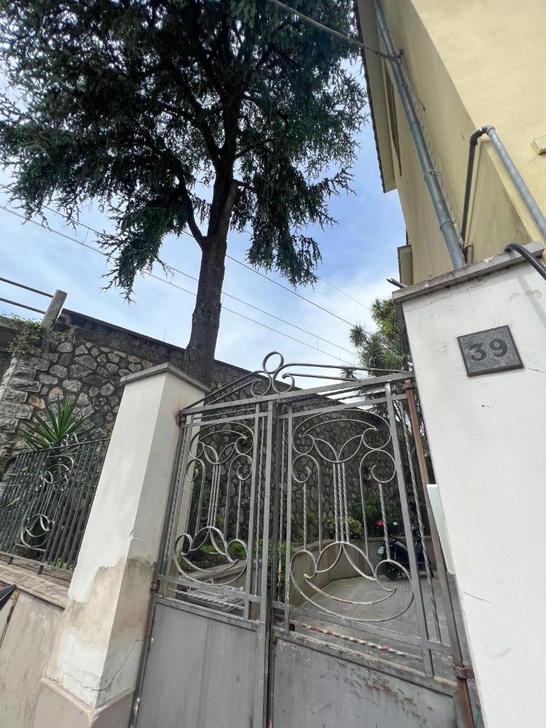 Luna's Apartment, Naples