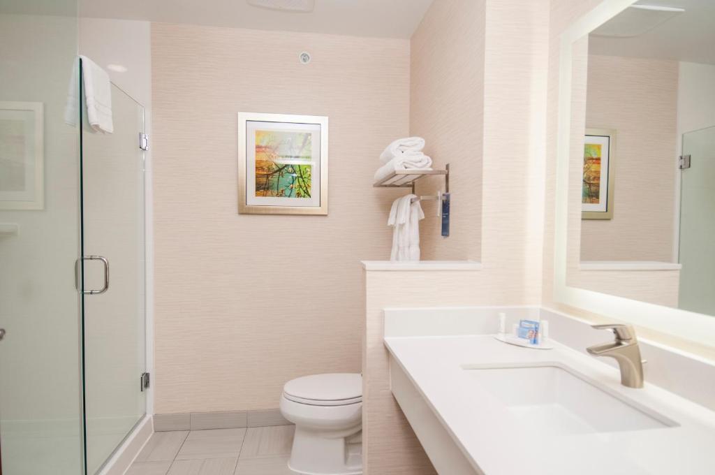 Fairfield Inn & Suites by Marriott Dallas Plano North photo 3