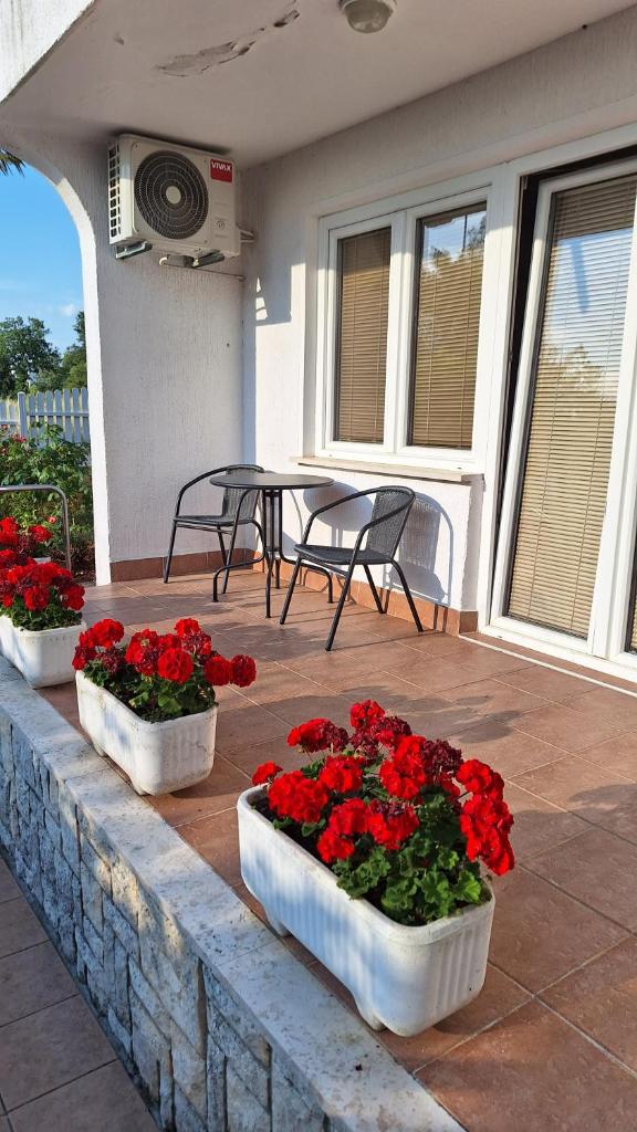 Apartments Vila Marinela photo 2