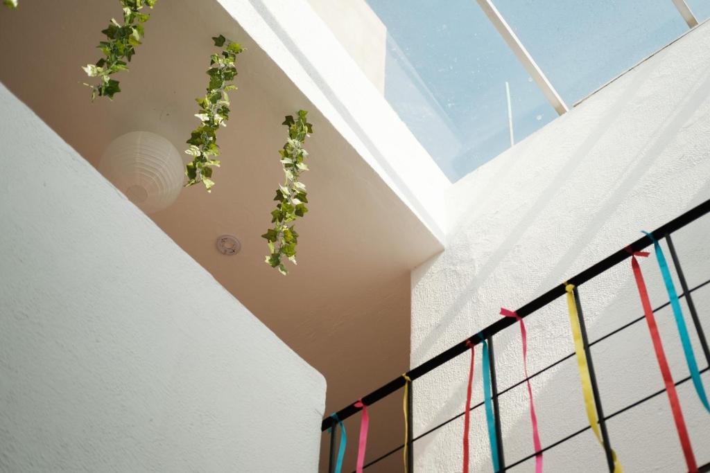 Leveli Coliving photo 2