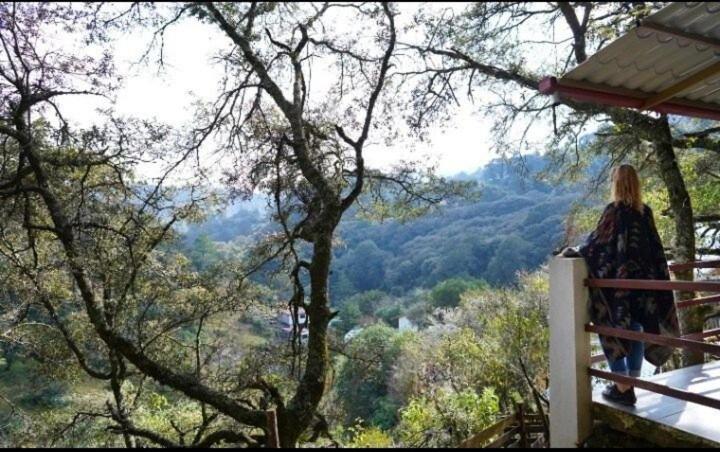 Cabaña El Encino II En Real del Monte photo 2