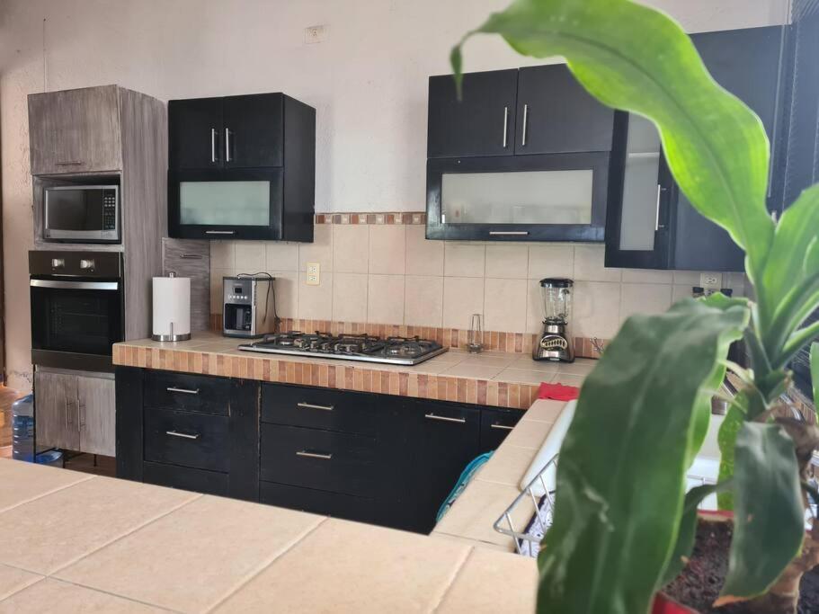 CASA LEYNA totalmente independiente, de un piso photo 1