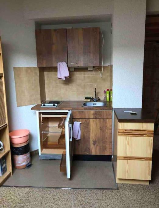 Appartement Centre du village ALPE DU GRAND SERRE photo 4