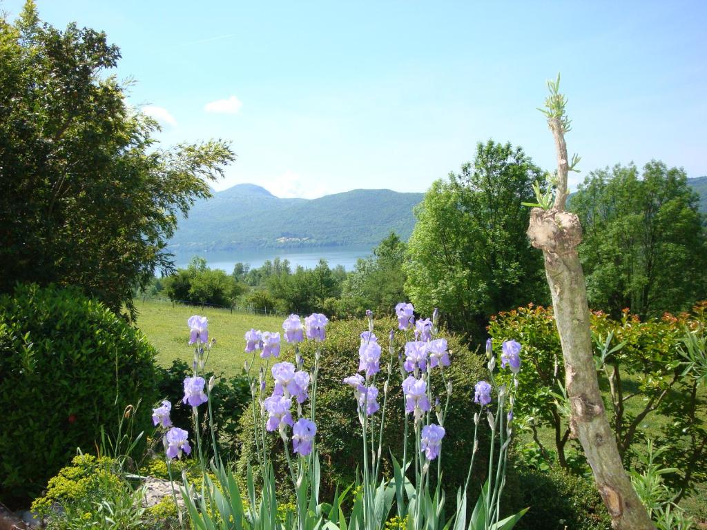 La Perrière photo 1
