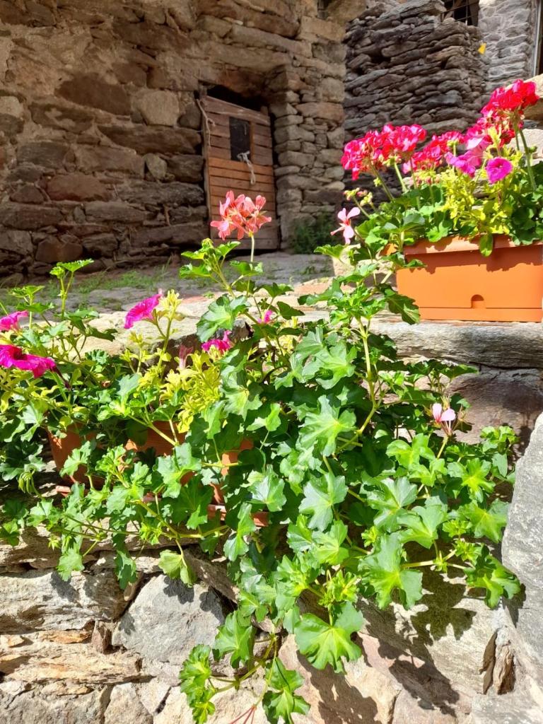 Bed & Breakfast La Crotta photo 2