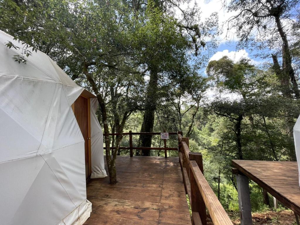 MANDALA CAMP Room Type - Family Room with Balcony