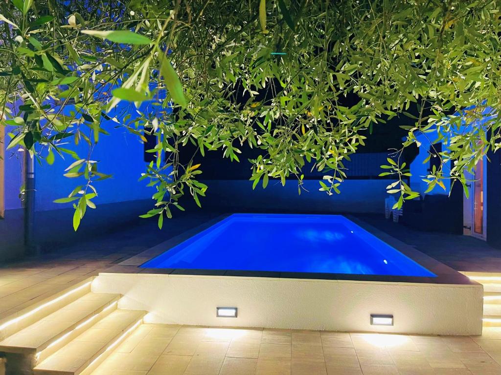 Adria Holiday Home photo 1