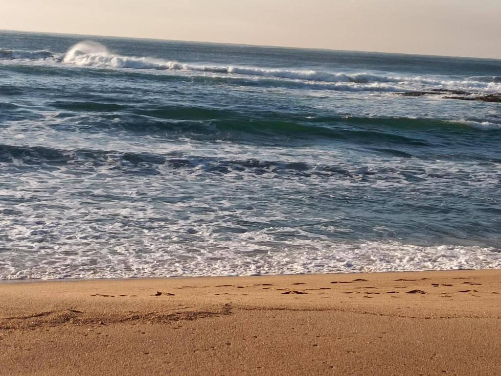 Whispering Waves photo 3