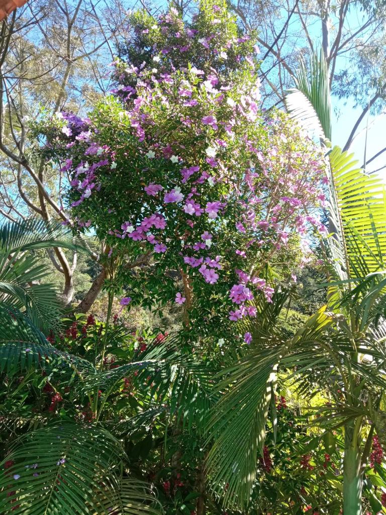 Um paraíso de casa de campo photo 2