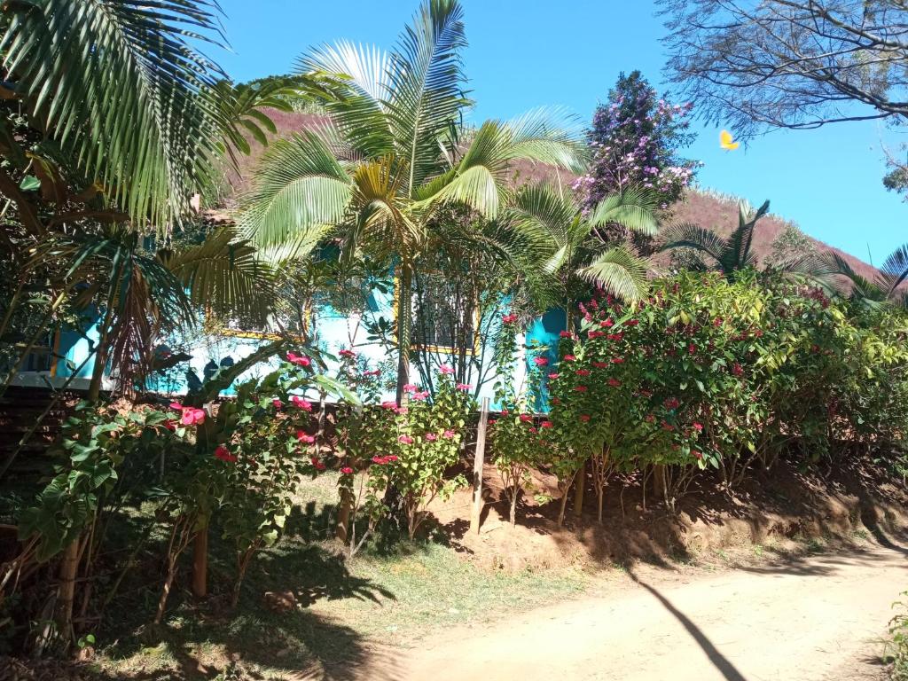 Um paraíso de casa de campo photo 1