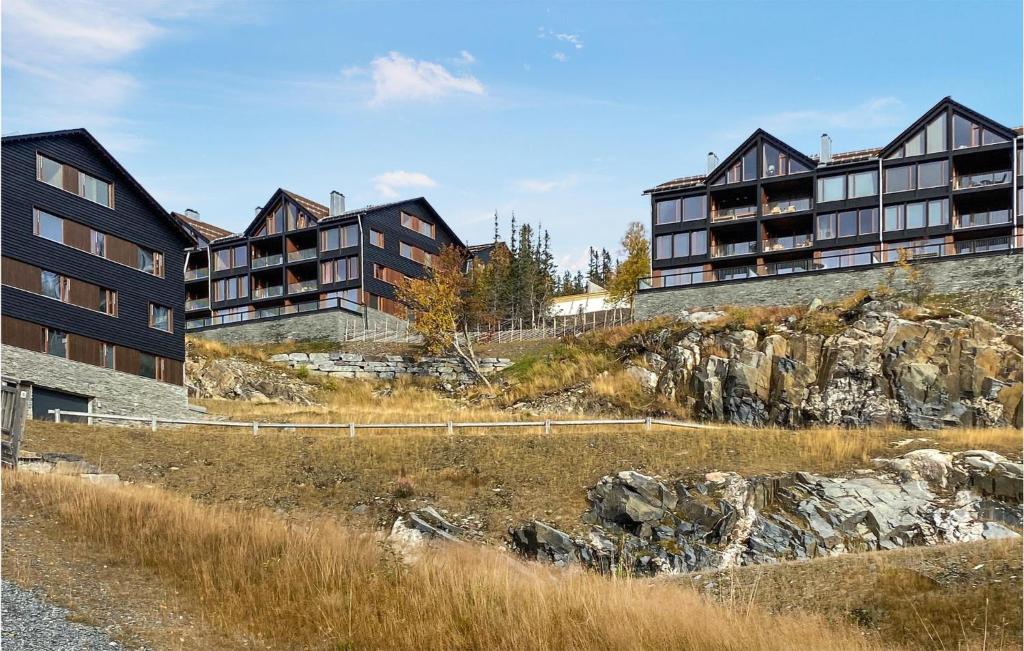 Amazing Apartment In Rjukan With Sauna And 3 Bedrooms
