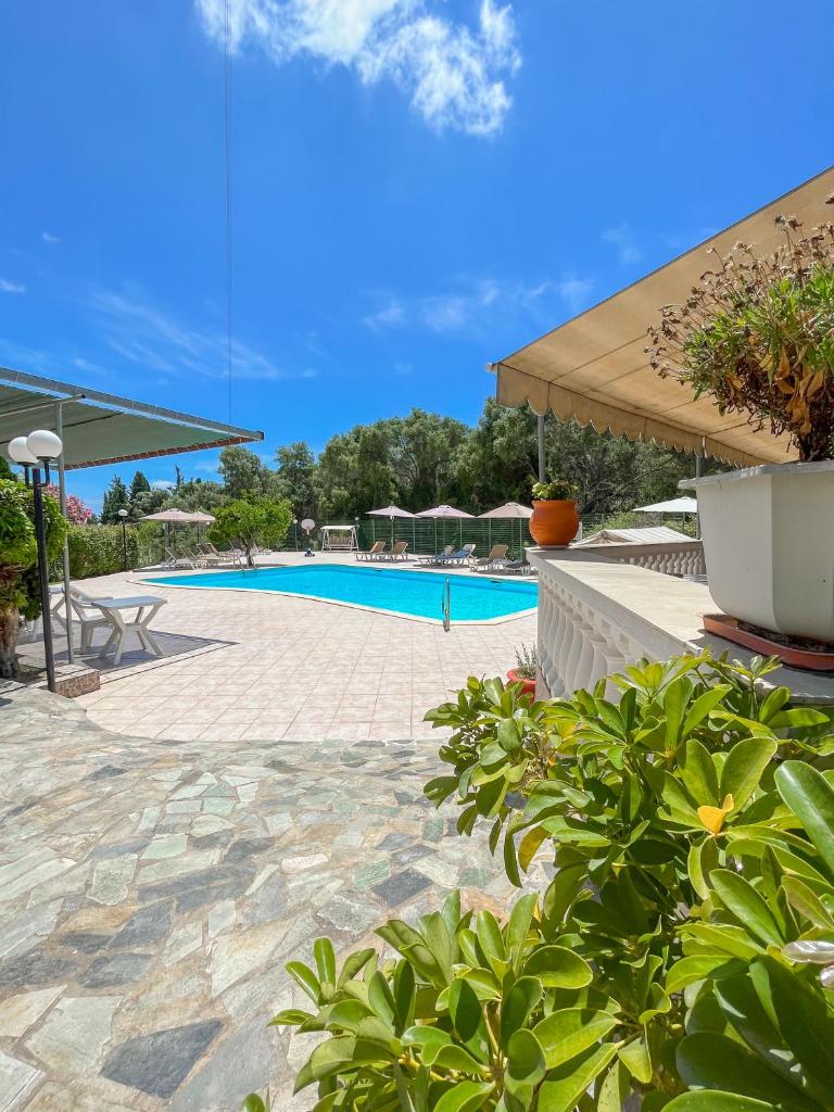 Amazona Apartments and Studios photo 2