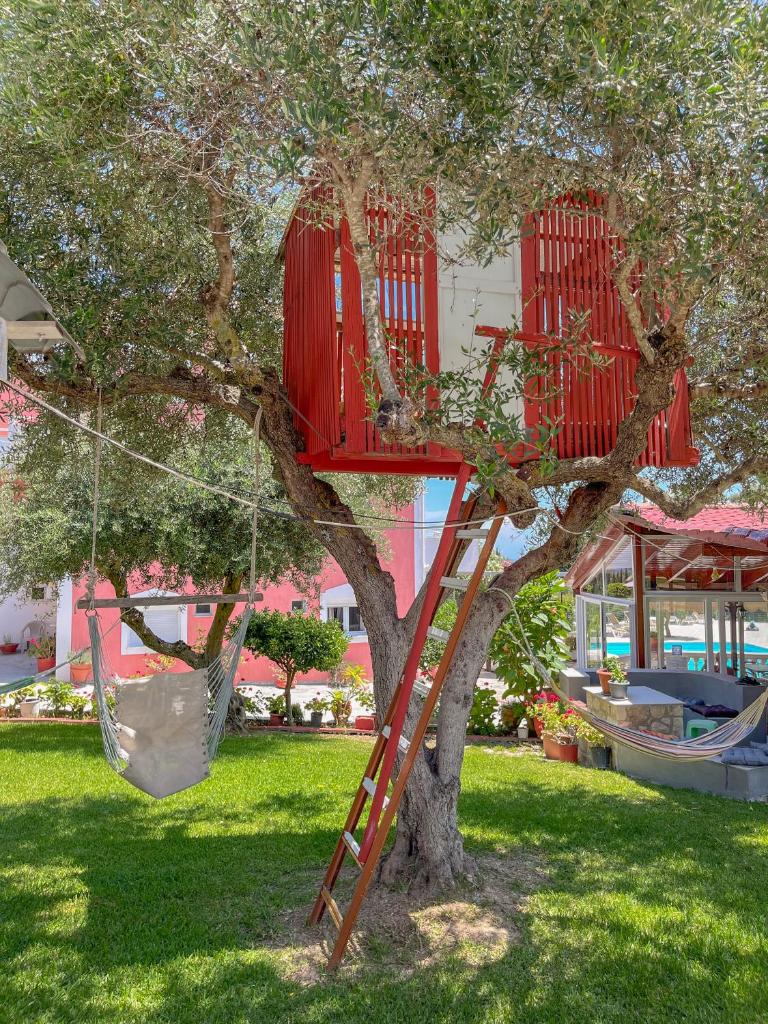 Amazona Apartments and Studios photo 3