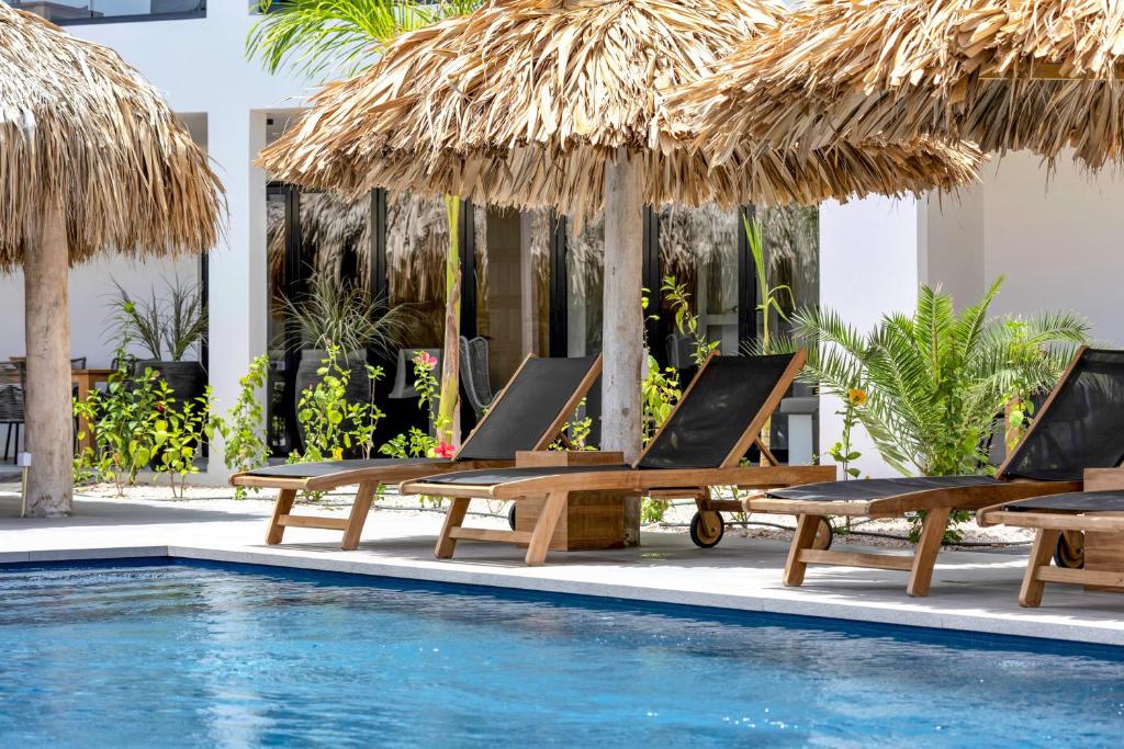 Belnem House Bonaire photo 2