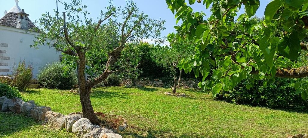 I Trulli di Zizì photo 3
