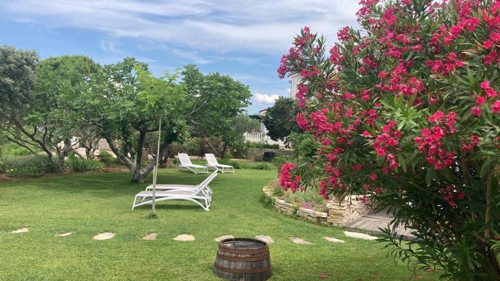 Bed&Breakfast Vanni photo 4