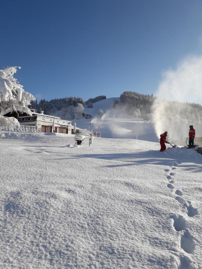 Chalet Le Wapiti, aux pieds des pistes, à 200m du village photo 1