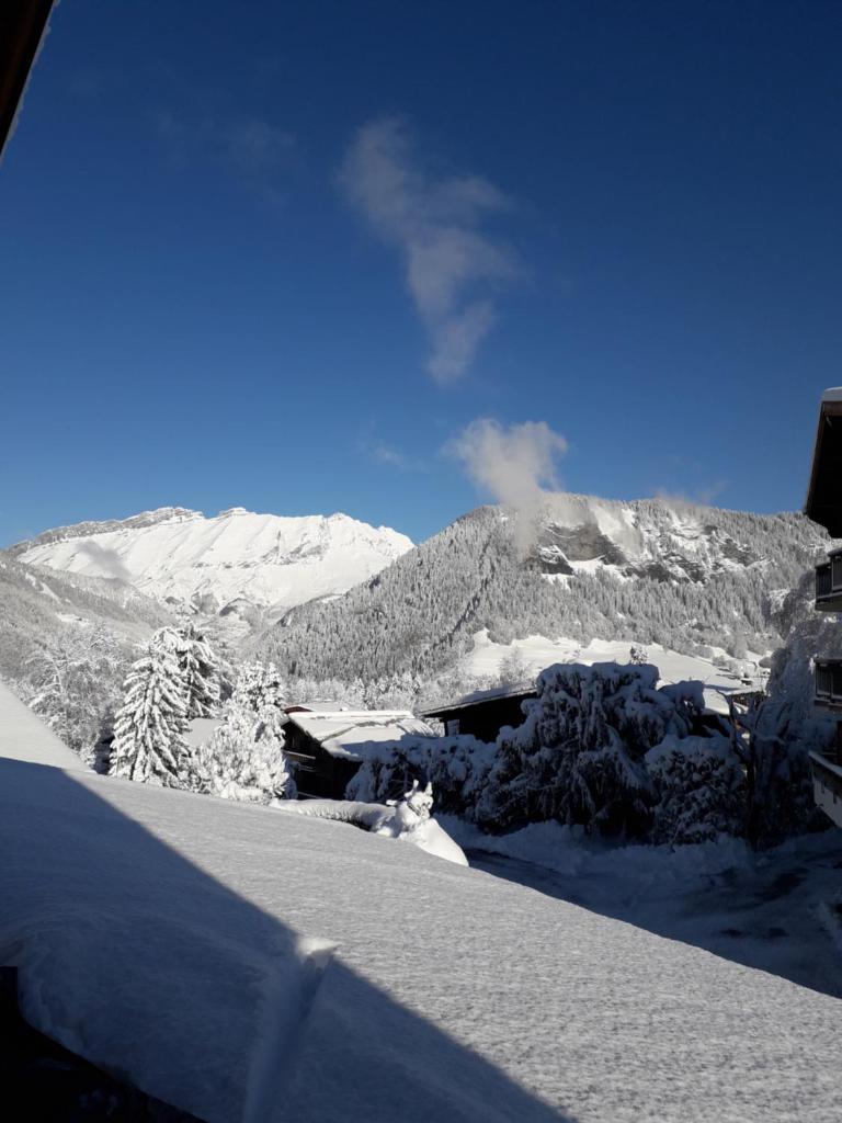 Chalet Le Wapiti, aux pieds des pistes, à 200m du village photo 2
