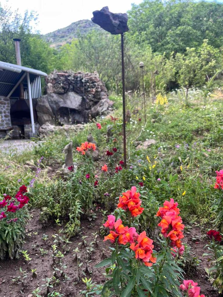 Hotel Halidzor photo 3