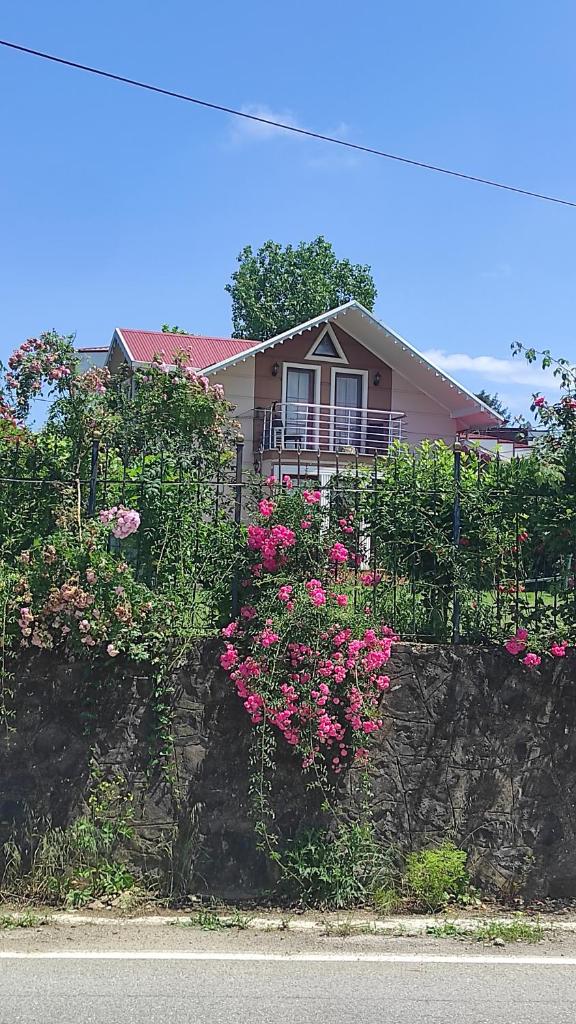 Aydınlar villa