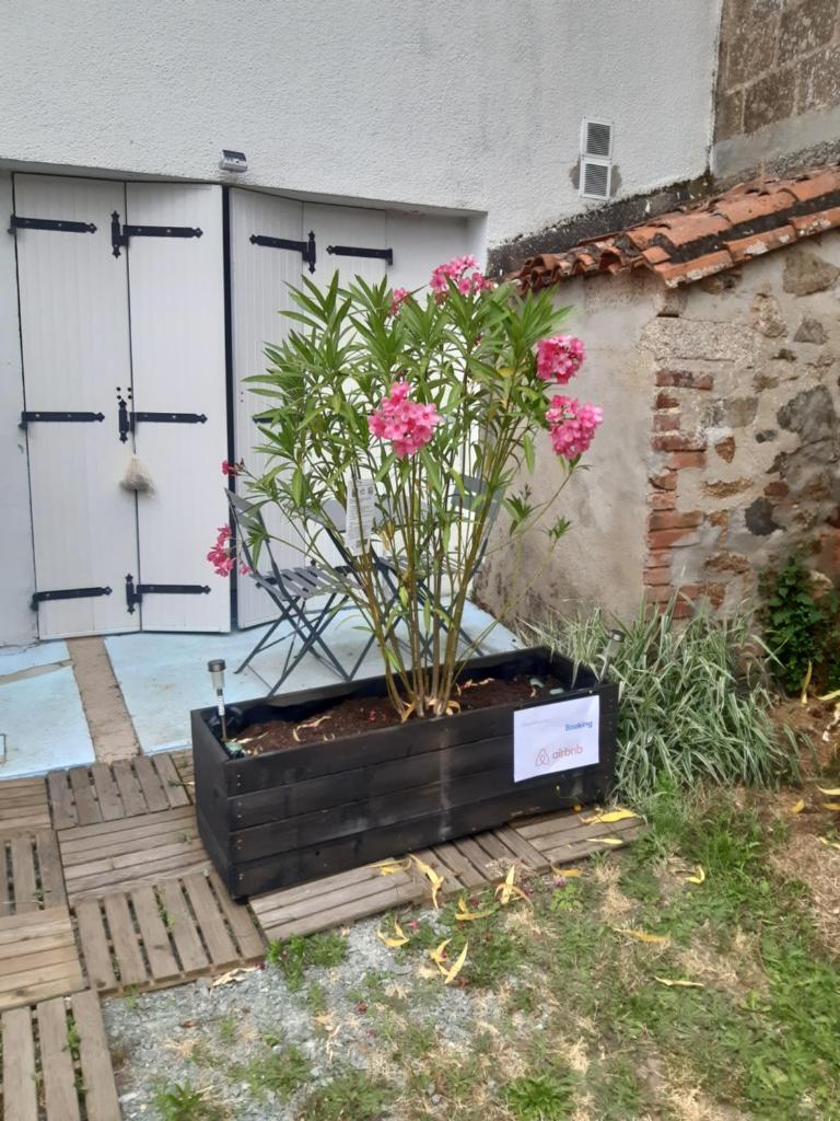Chez magalie photo 1