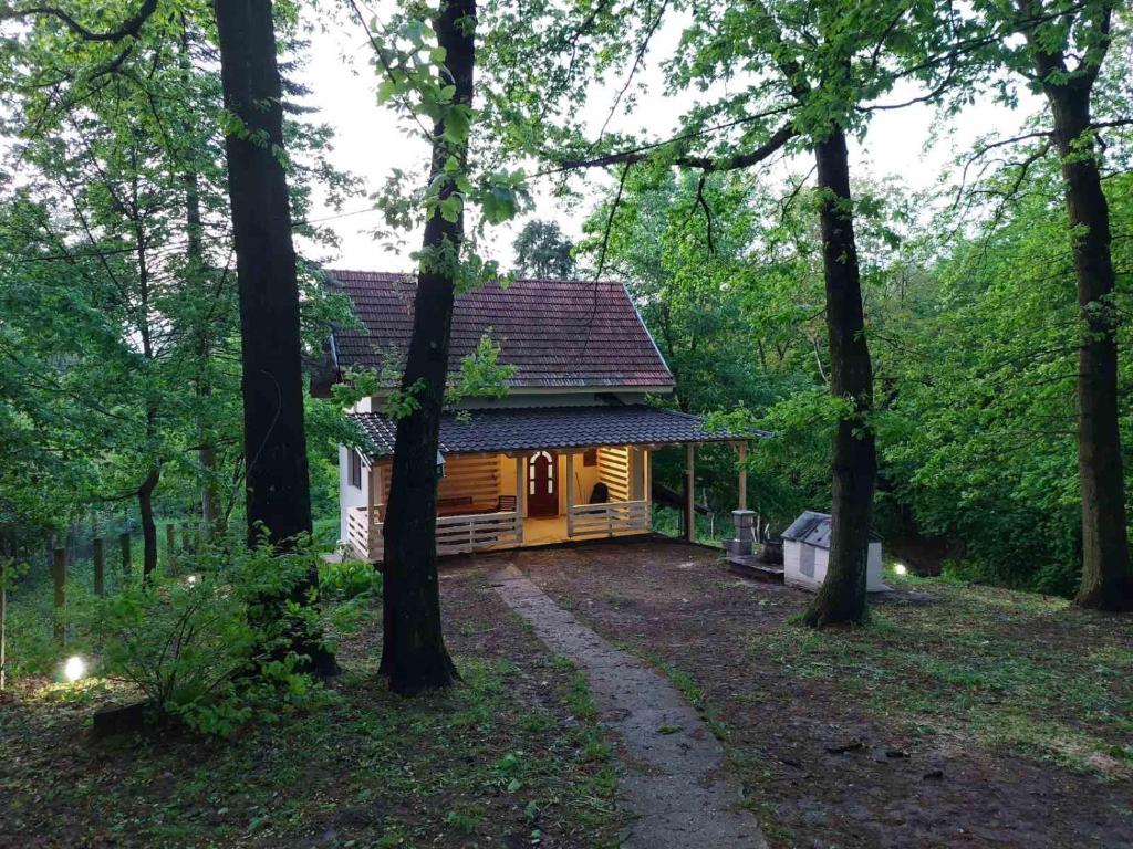 Vikendica u šumi - Kosmaj