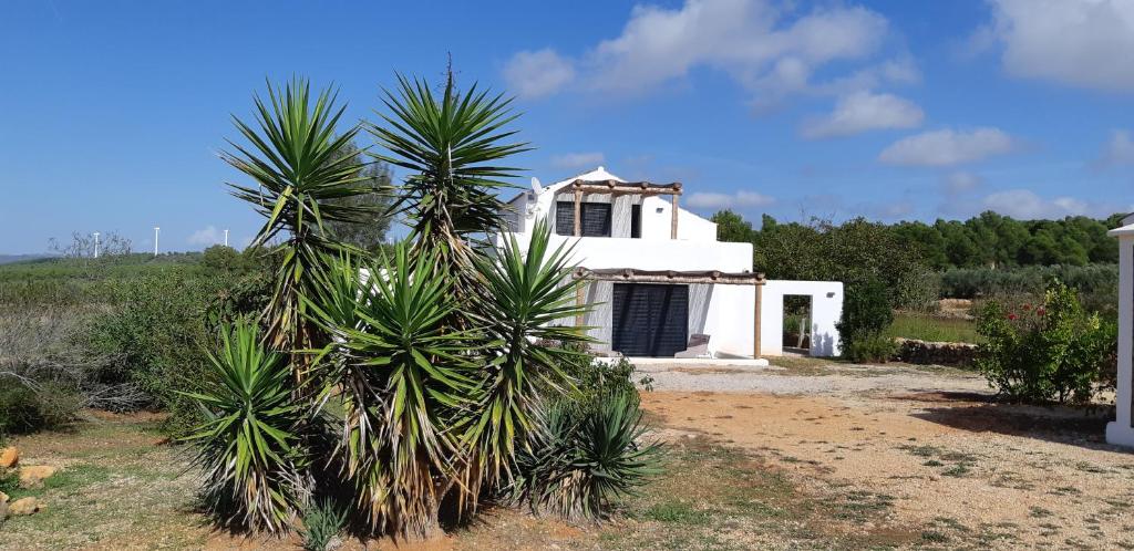 Casa Padel El Perello photo 3