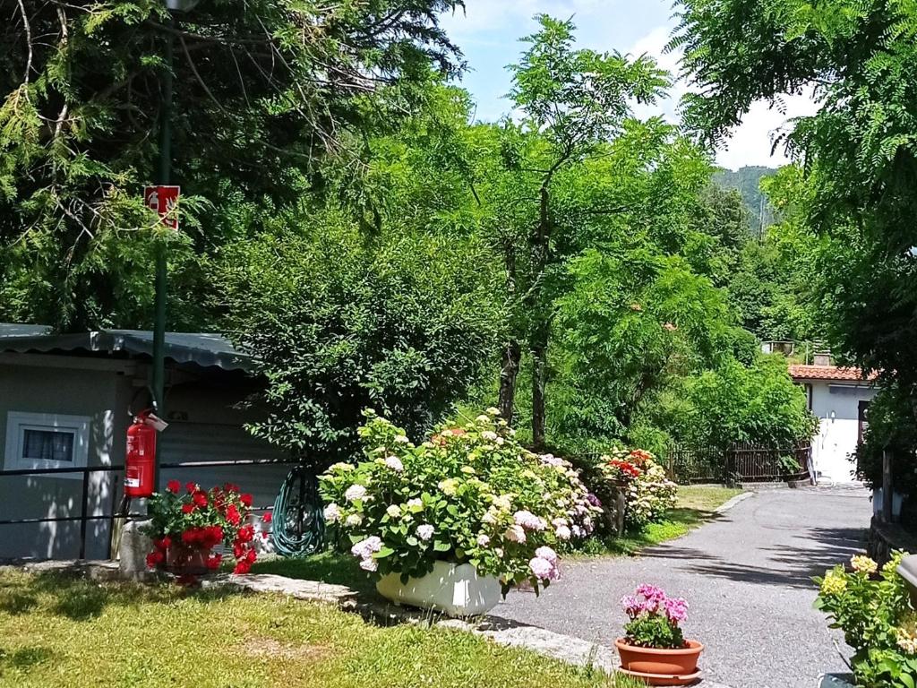 Parco Vacanze Bracchetto Vetta photo 1