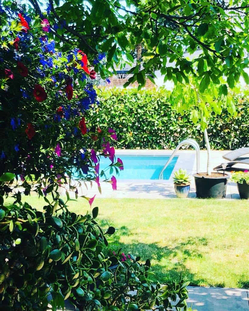 B &B Yuupke Maasbree Noord-Limburg Venlo Roermond photo 2