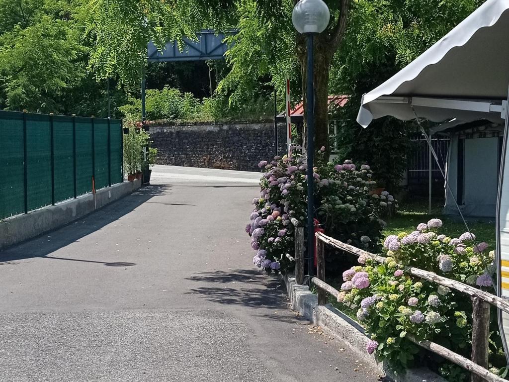 Parco Vacanze Bracchetto Vetta photo 4