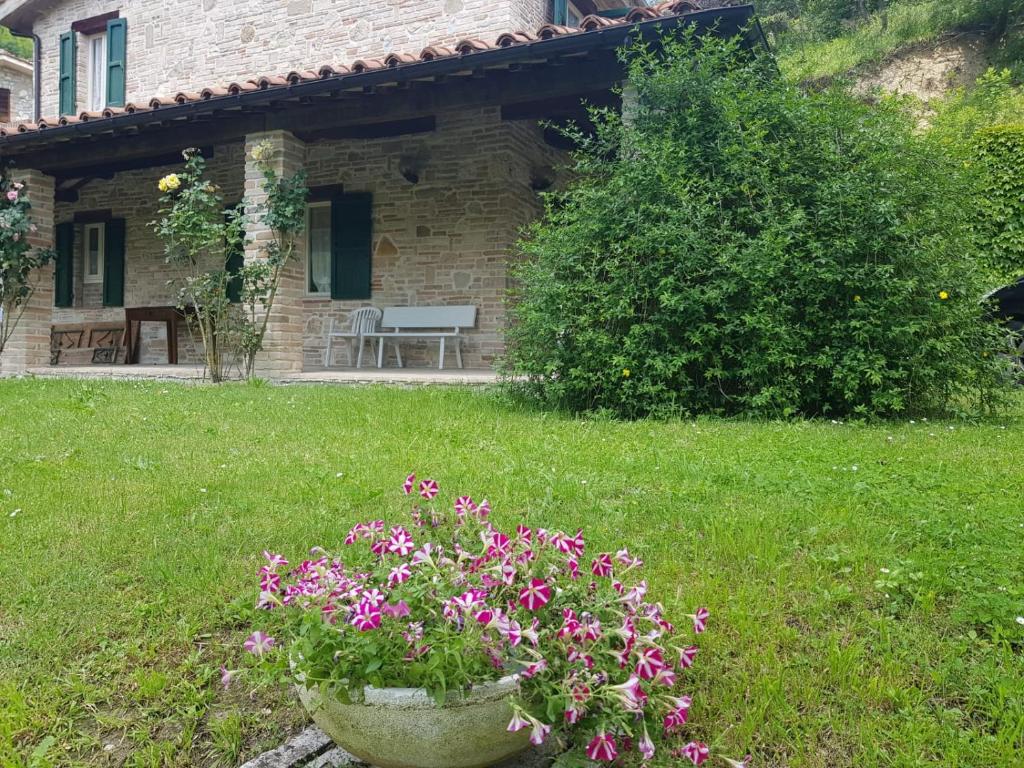 Alchemilla Vacanze photo 2