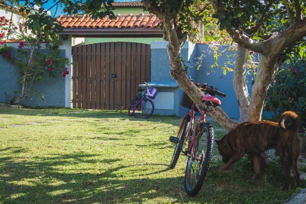 Casa vista para montanha Pet Friendly photo 4