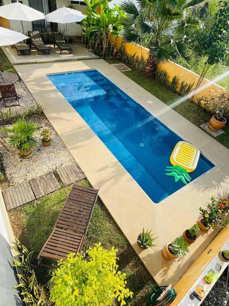 Villa Bonobo photo 2