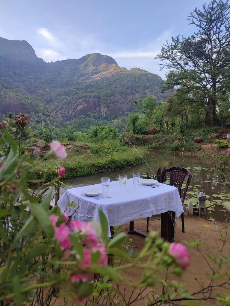 Eco Lodge Meemure & Adventure Park