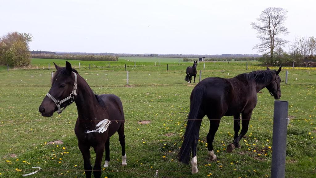 Landstedet photo 2