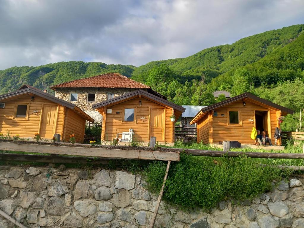 Dedushi guesthouse &wod cabin-camping place photo 4