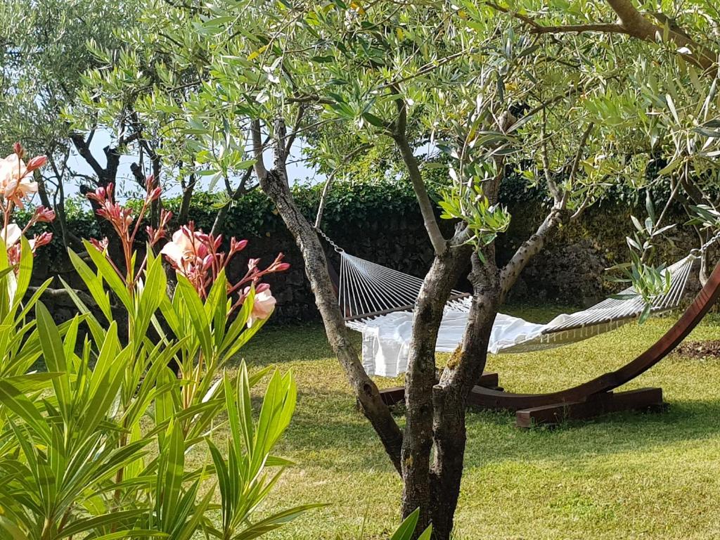 Peace of mind N. 4 Opatija photo 1