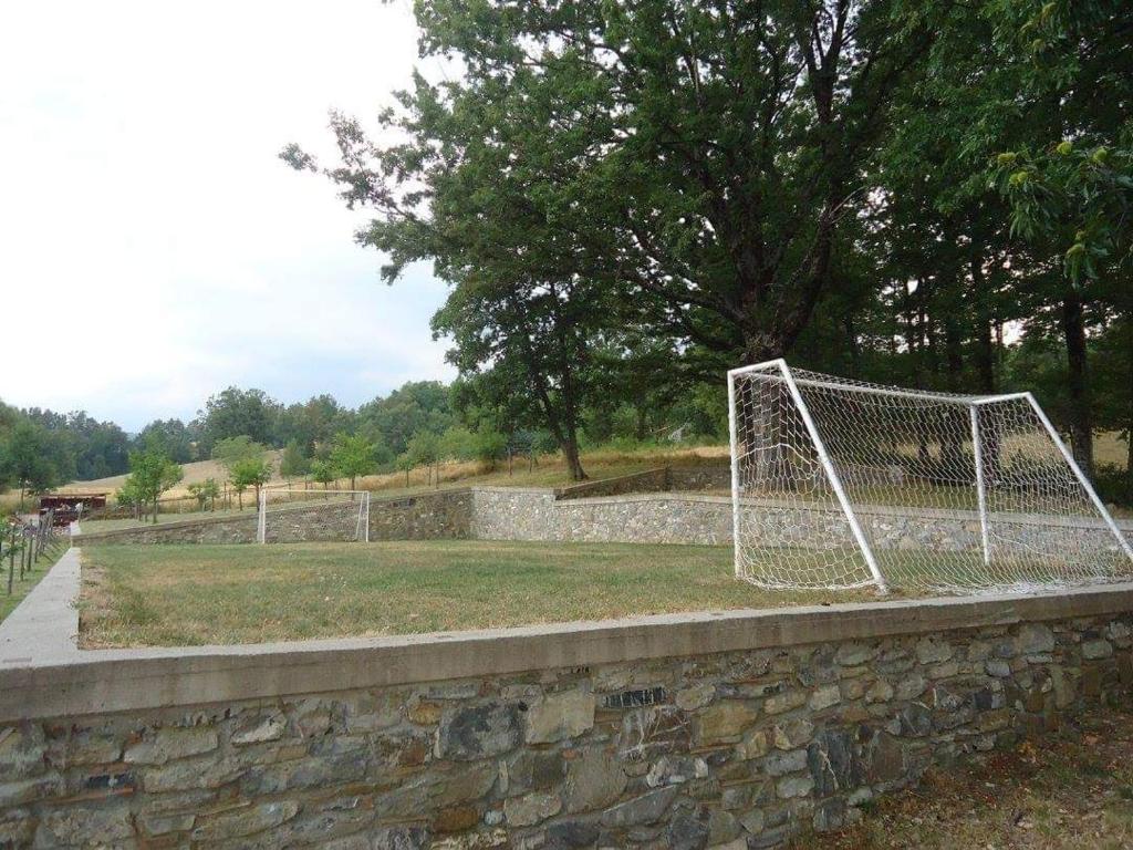L’agrifoglio photo 2